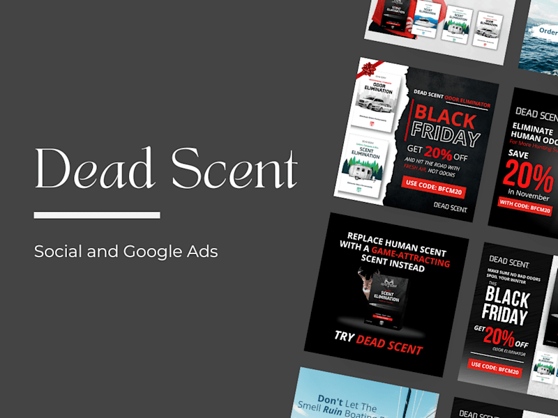 Cover image for B2C: Marketing & Digital Ads 