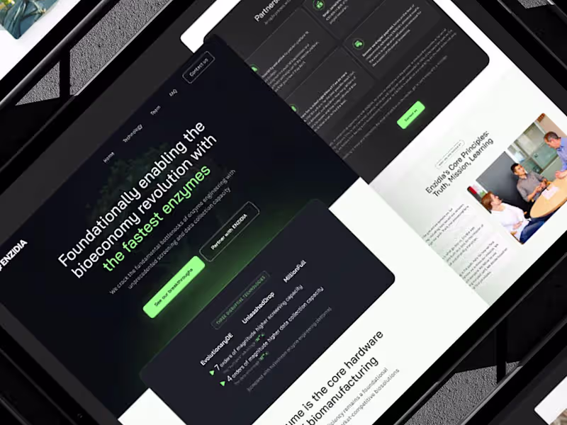 Cover image for Webflow Development