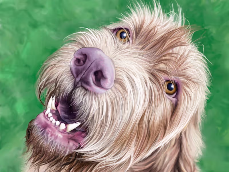 Cover image for Portrait of animal or human