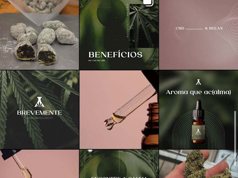 Cover image for Social Media Management - CBD Store