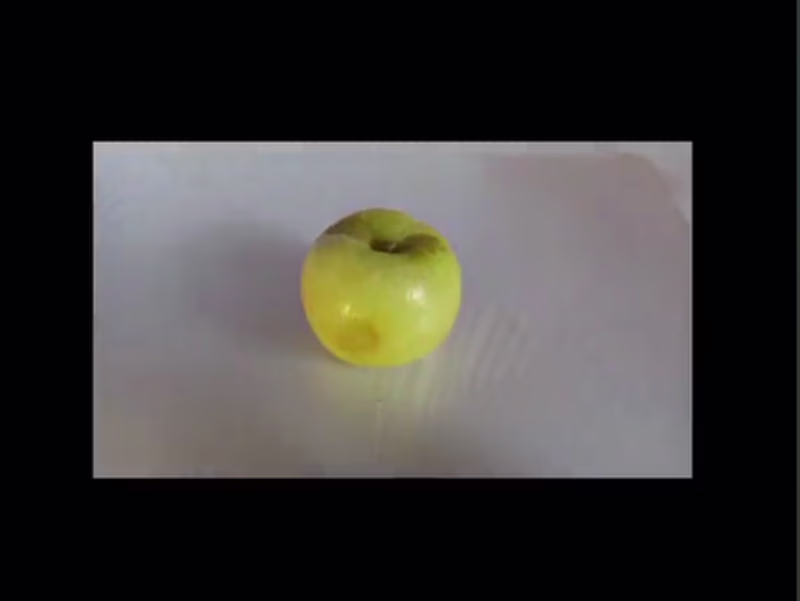 Cover image for  Elevate Your Brand with Handcrafted Stop-Motion Animation