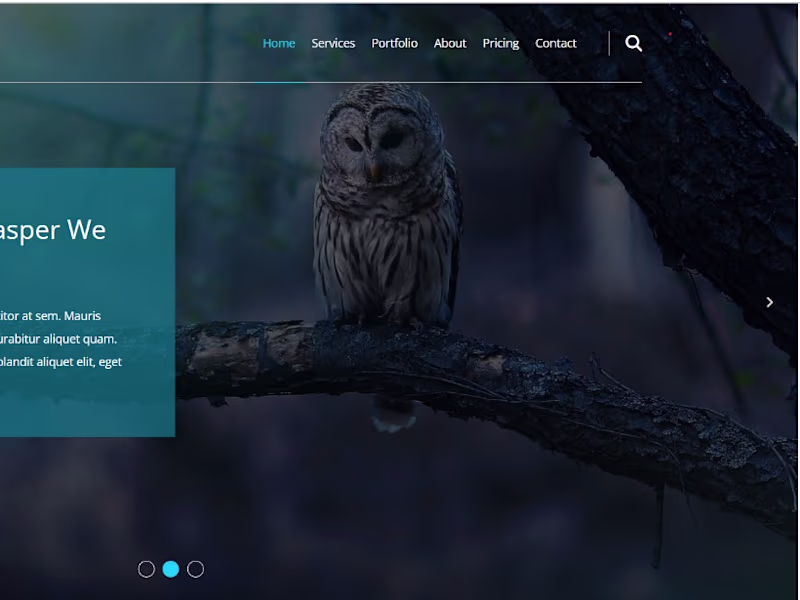 Cover image for My GitHub site 