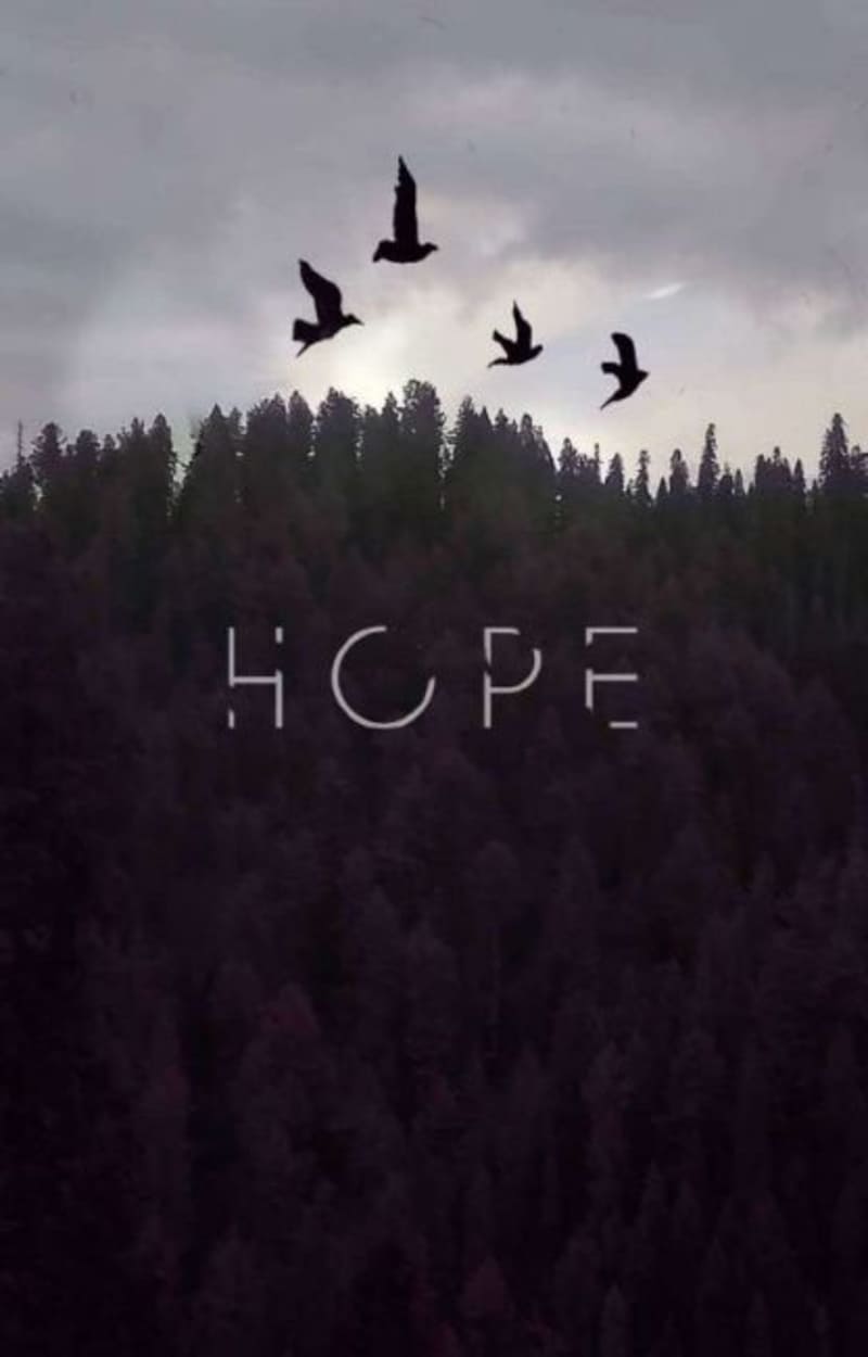 Cover image for 𝗧𝗵𝗲 𝗵𝗼𝗽𝗲 𝗶𝘀 𝘆𝗼𝘂.