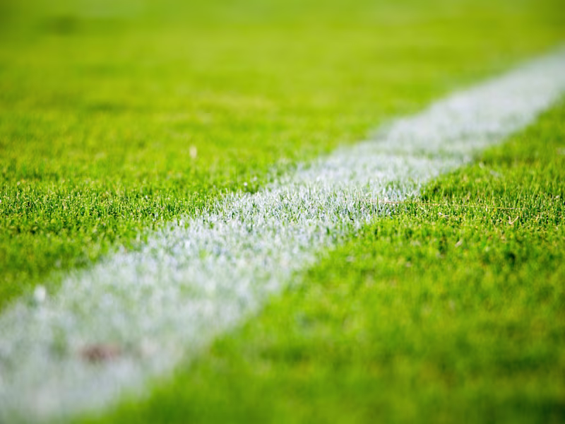 Cover image for Sports Team Social Media Template