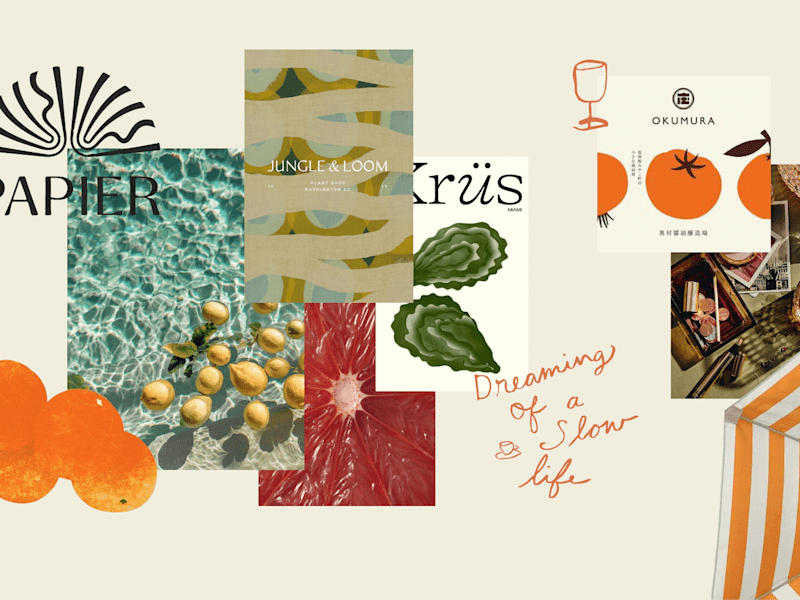 Cover image for Sol del Sur