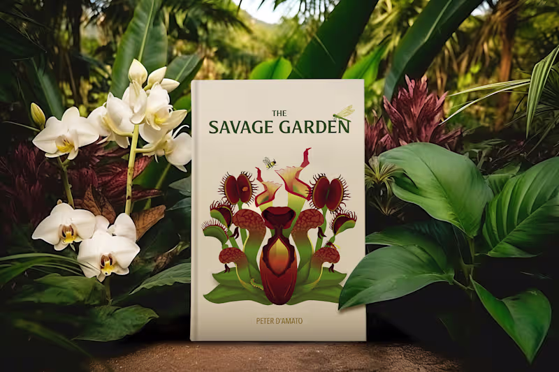 Cover image for An illustrated botanical cover with