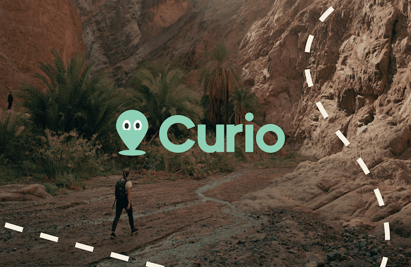 Cover image for Curio - Visuel identity