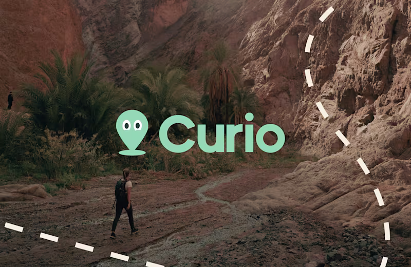 Cover image for Curio - Visuel identity