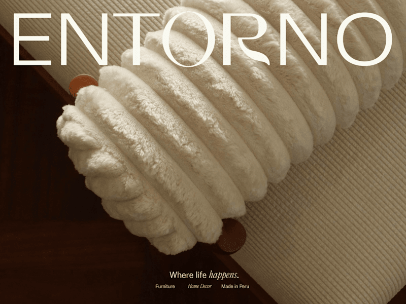 Cover image for Entorno