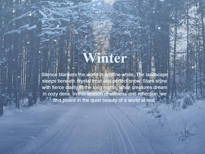 Cover image for Seasonal Odyssey | An Interactive Journey