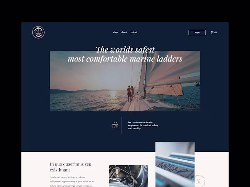 Cover image for BL ladders