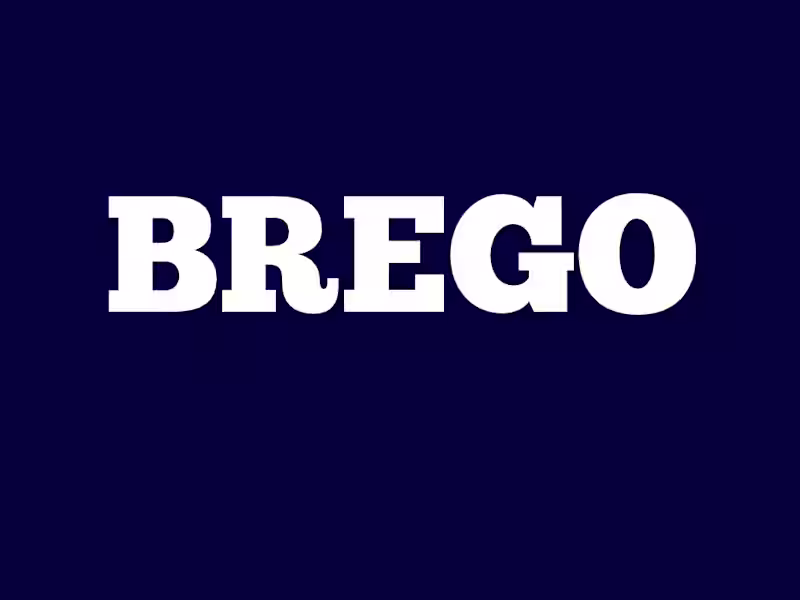 Cover image for AI-Powered Business Newsletter Summarization for BREGO