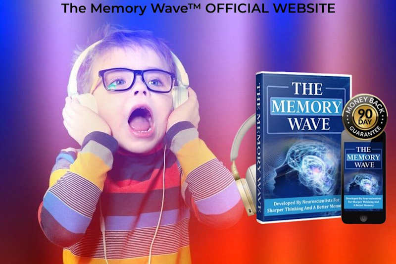 Cover image for The Memory Wave (Serious WARNING!!) EXPERT CHECK!