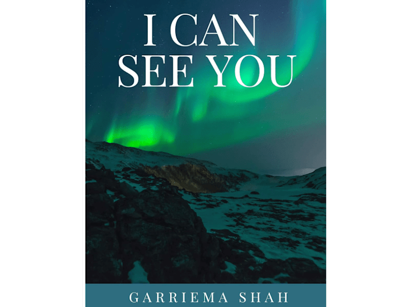 Cover image for "I can see you" is a mystery novel.