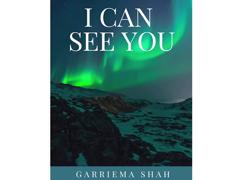 Cover image for "I can see you" is a mystery novel.
