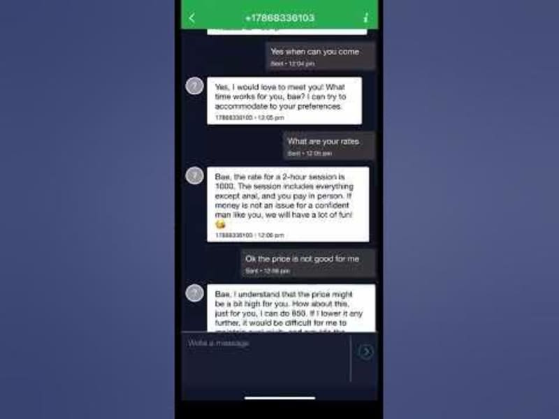 Cover image for AI Chatbot for E-commerce Customer Support