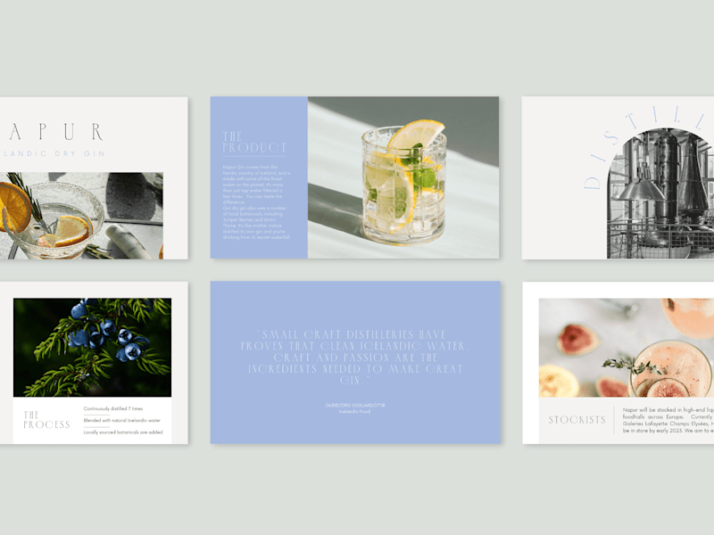 Cover image for Napur Gin