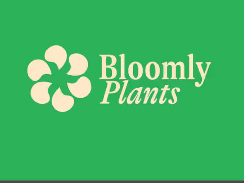 Cover image for Brand Identity Design