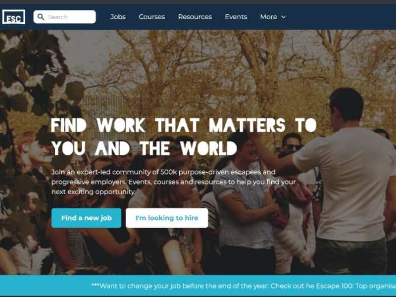 Cover image for Job Search Platform 