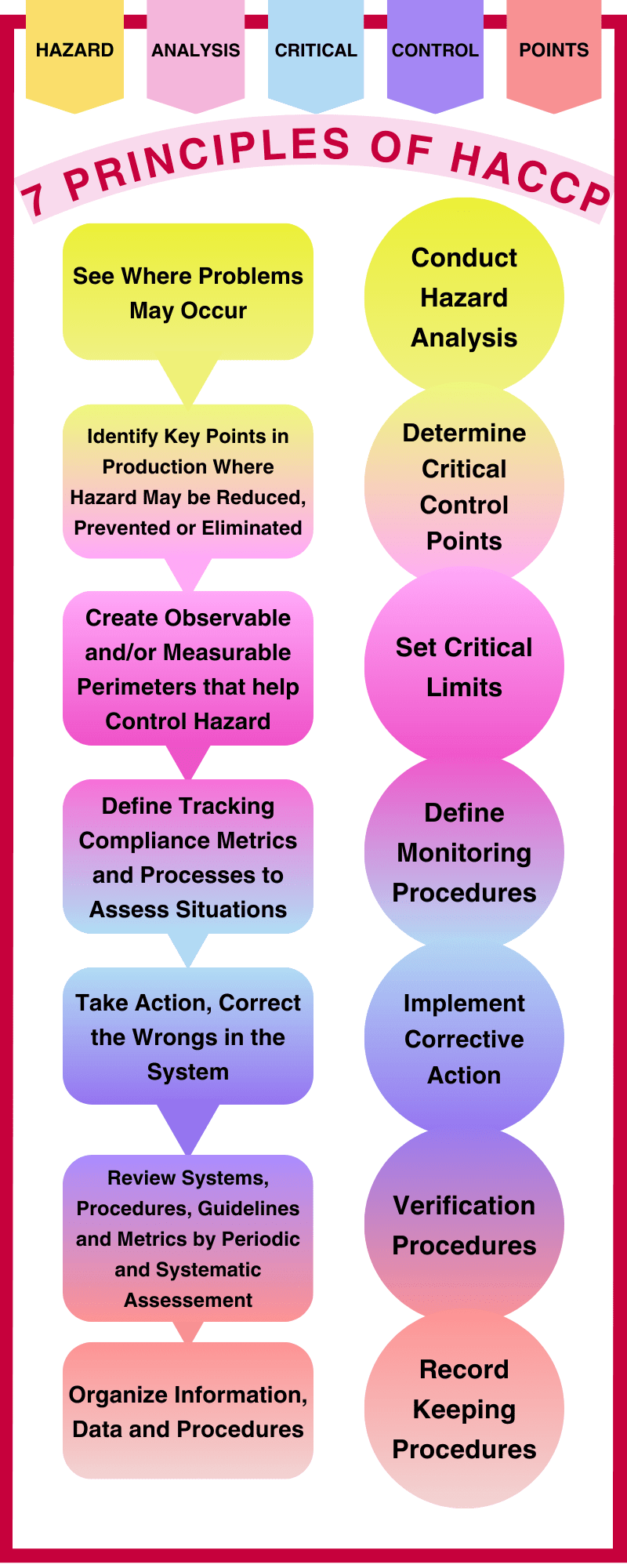 Cover image for Sample Infographic Chart