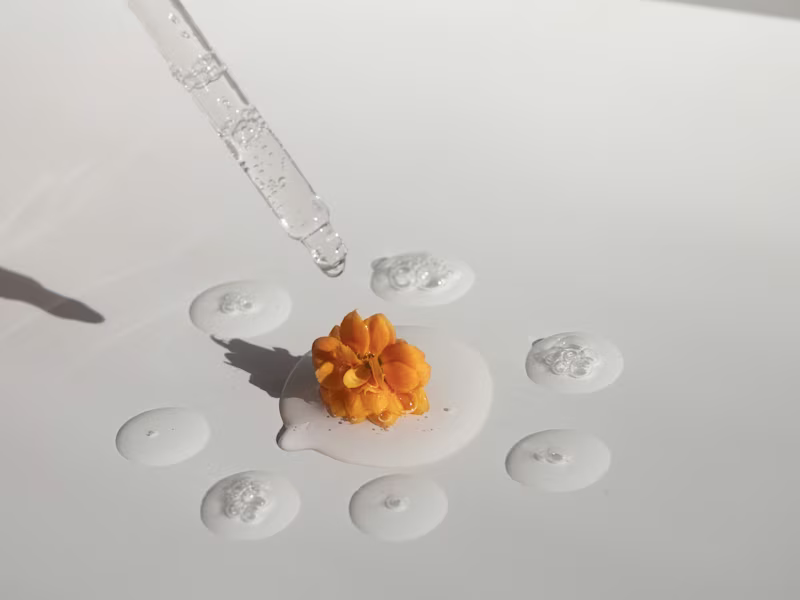Cover image for Natology 