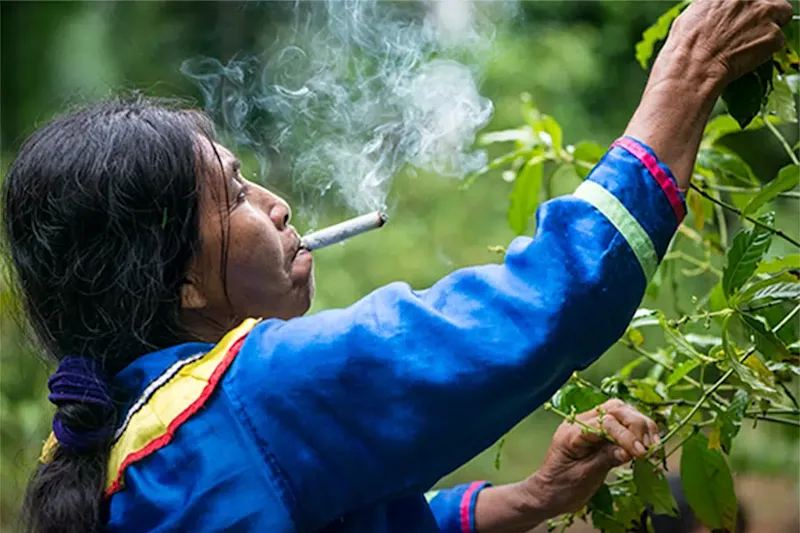 Cover image for SEO Journalism - Sacred Tobacco