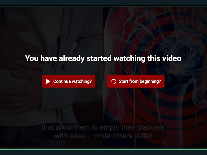 Cover image for Enhancing Vide Player with Custom Interactivity and User Exper