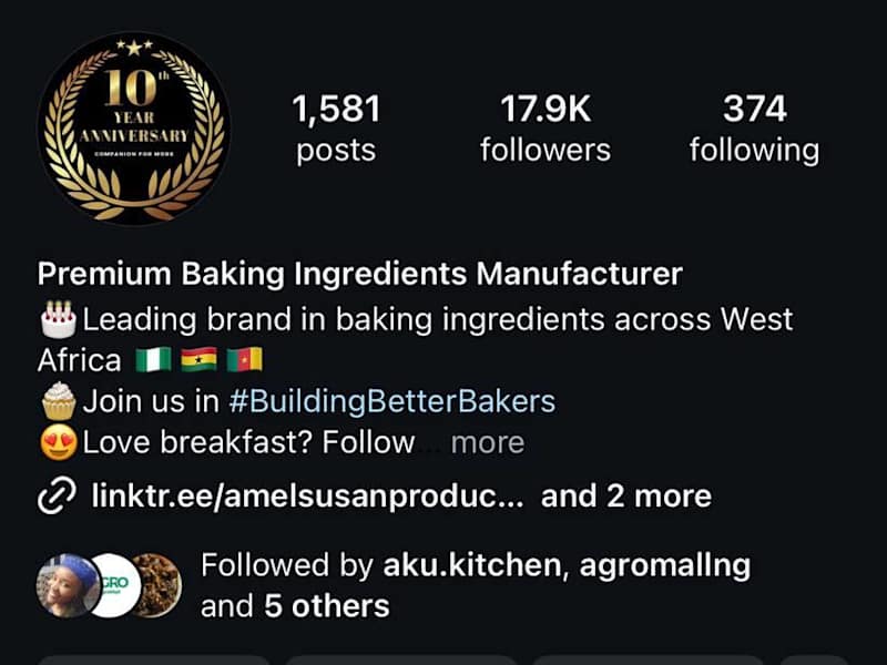 Cover image for Elevating Brand Awareness for Amel Susan Products