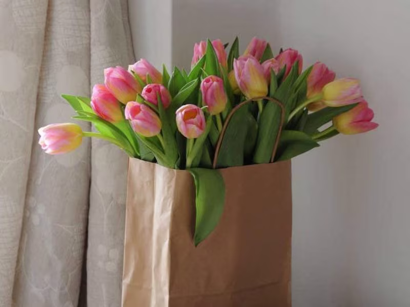 Cover image for More