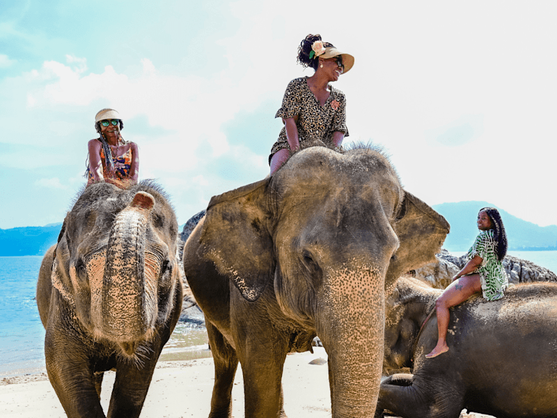 Cover image for Melanin Globe Travel Company