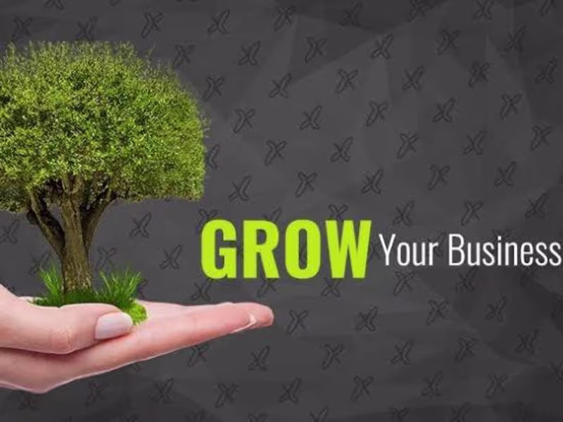 Cover image for Customized Business Growth Strategies for Start-ups and SMEs