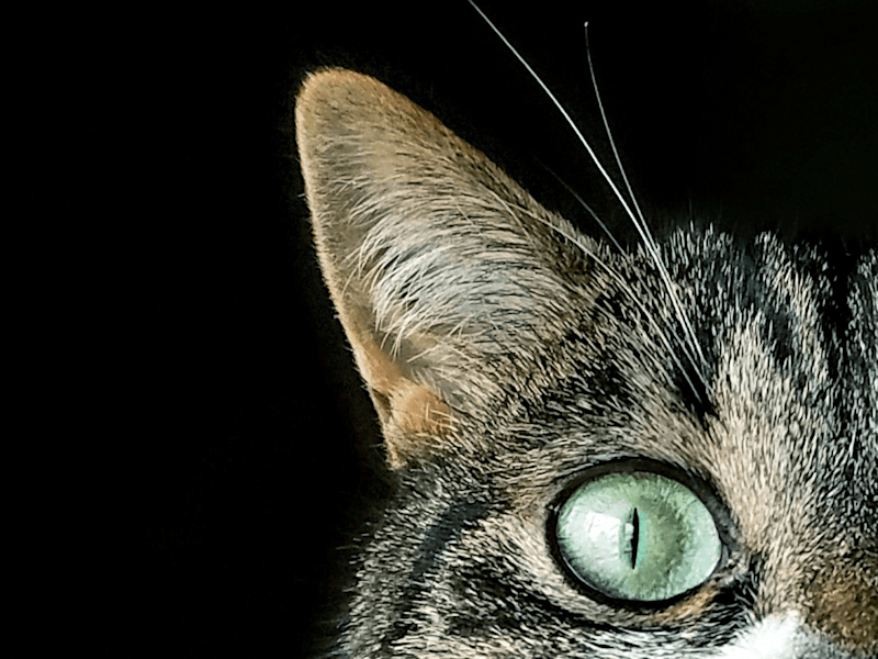 Cover image for Non-profit Blogs