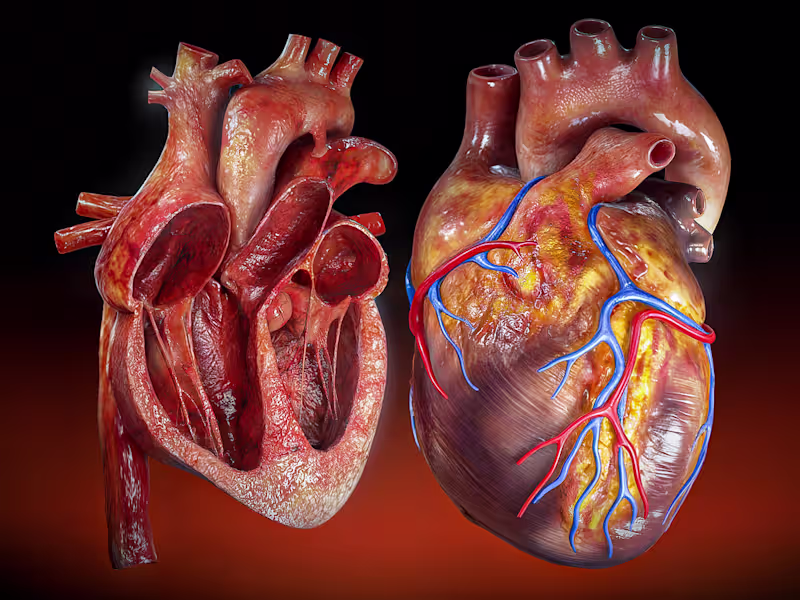 Cover image for 3D Medical Illustration