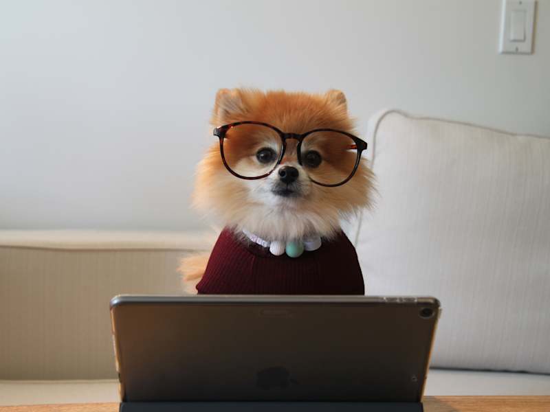 Cover image for Proofreading