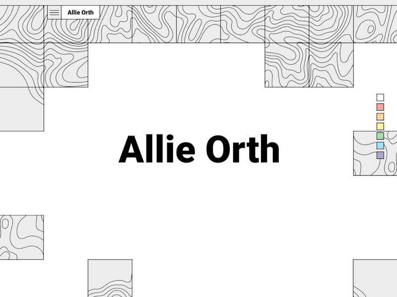 Cover image for Allie Orth Portfolio