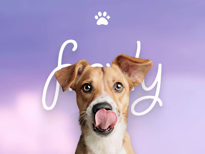 Cover image for Building Frenly: The Emotional AI for Modern Pet Parents