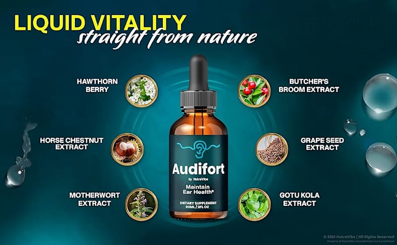 Cover image for Audifort : [TOP 5 Reasons!] Why We're Your Best Choice?