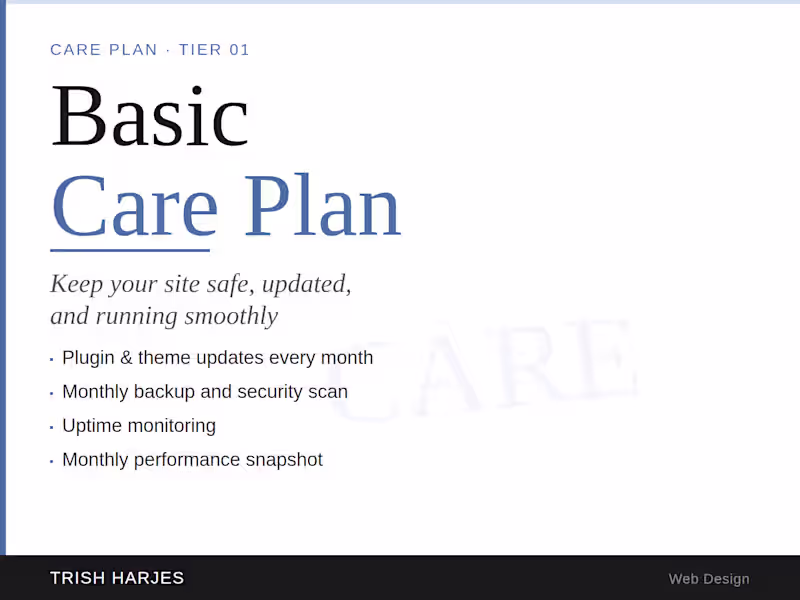 Cover image for Basic Care Plan — Monthly Website Maintenance