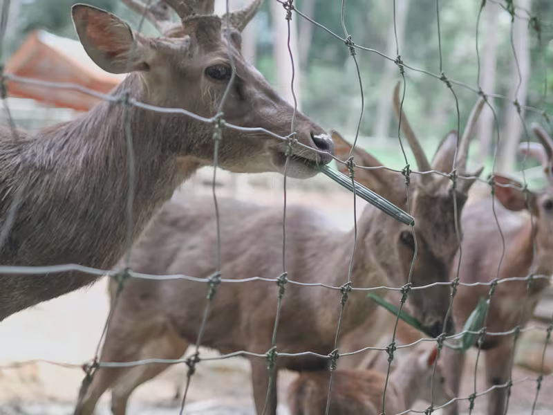 Cover image for Creative Photo Retouching