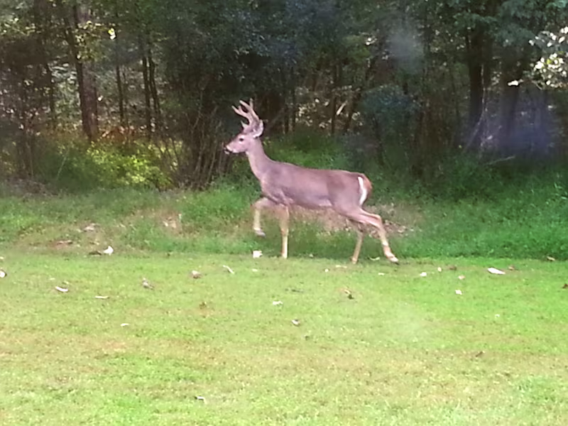 Cover image for I've been reviewing some photography I've taken over the yea...