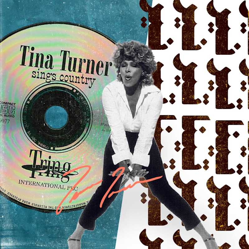 Cover image for Tina Turner: A Timeless Legacy