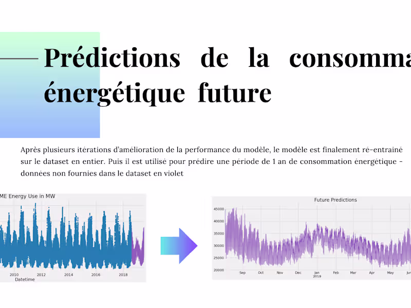 Cover image for Analysis of Time Serie Data, predictions and recommendations