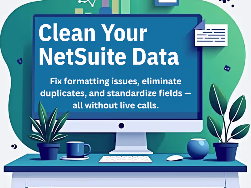 Cover image for NetSuite Data Cleanup & Field Standardization