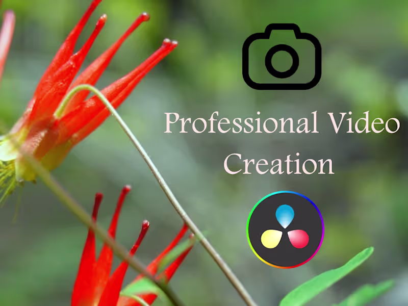 Cover image for Professional Videography Services