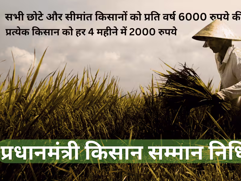 Cover image for Web Design