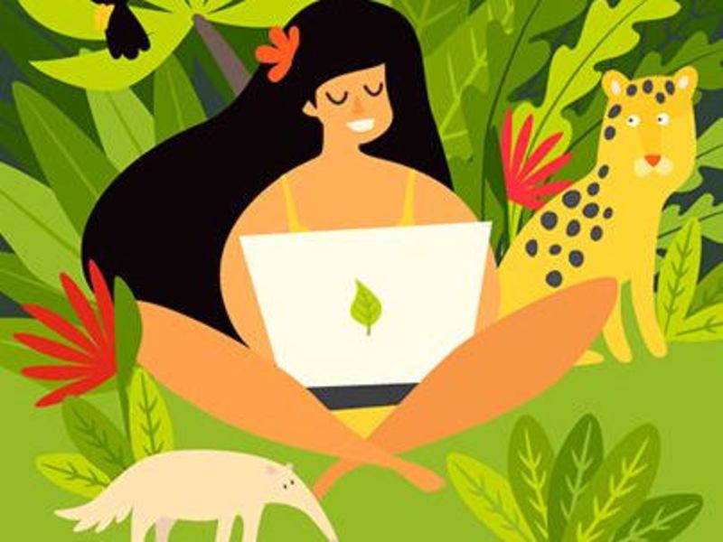 Cover image for Branding