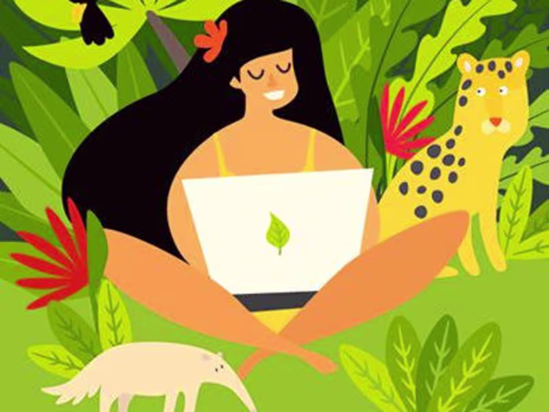 Cover image for Branding