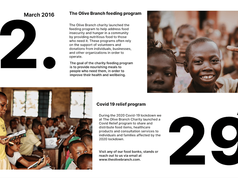 Cover image for The Olive Branch Charity 
