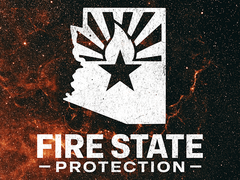 Cover image for Fire State Protection