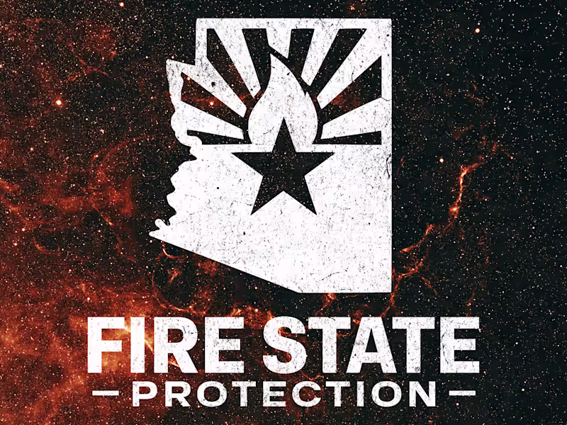 Cover image for Fire State Protection